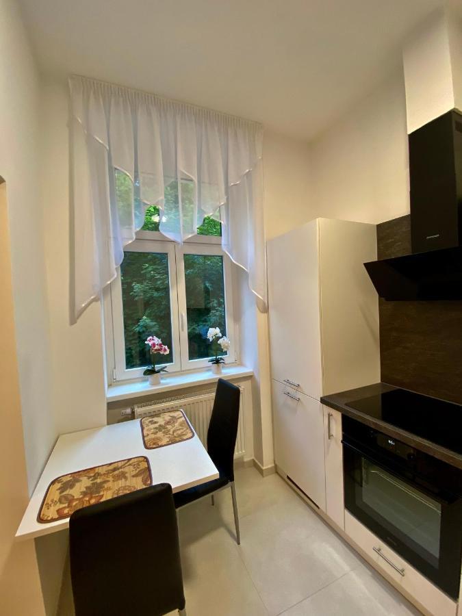 Top Class Apartments In Carlsbad Карловы Вары Экстерьер фото